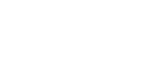 the hindu